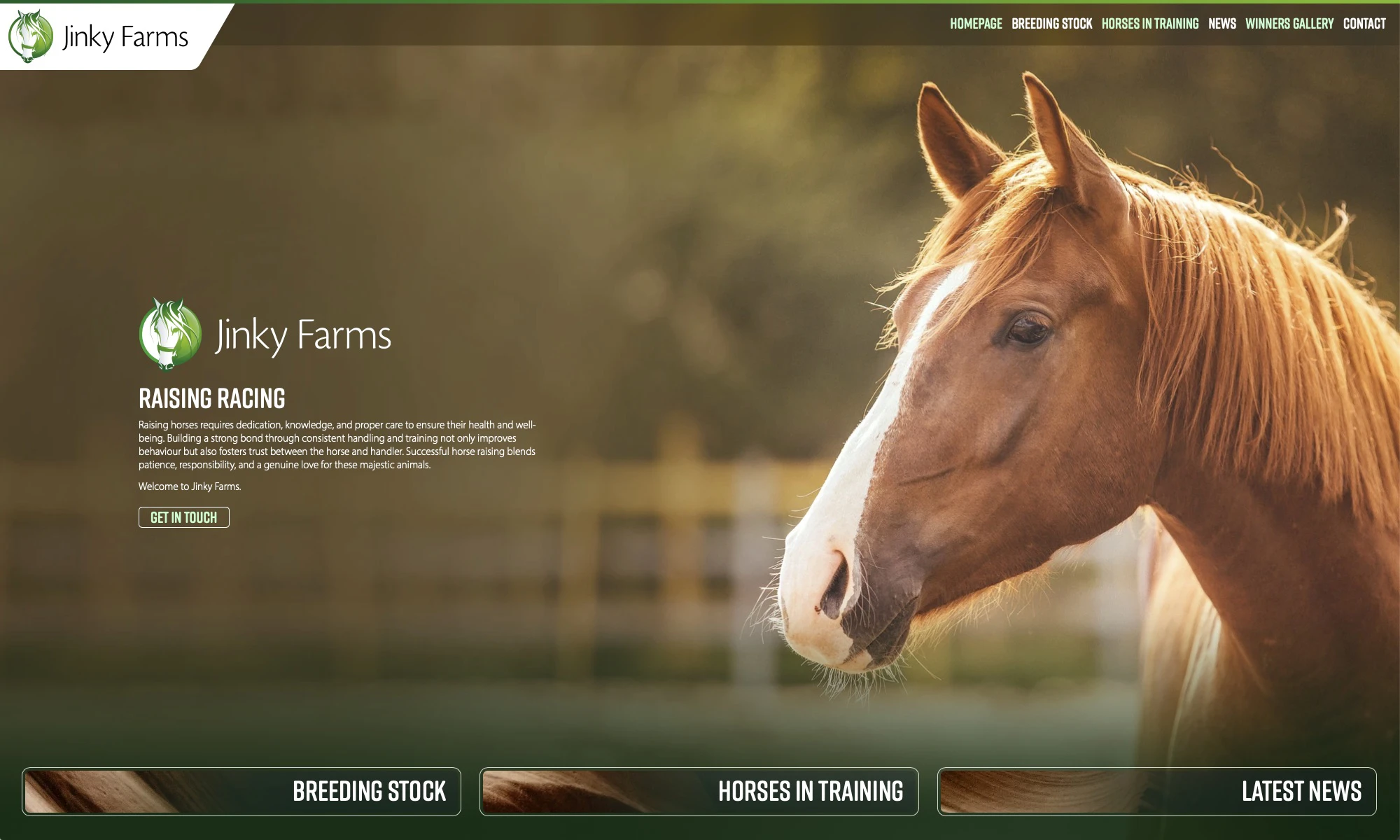 Jinky Farms Website