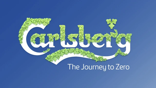 Carlsberg branding project